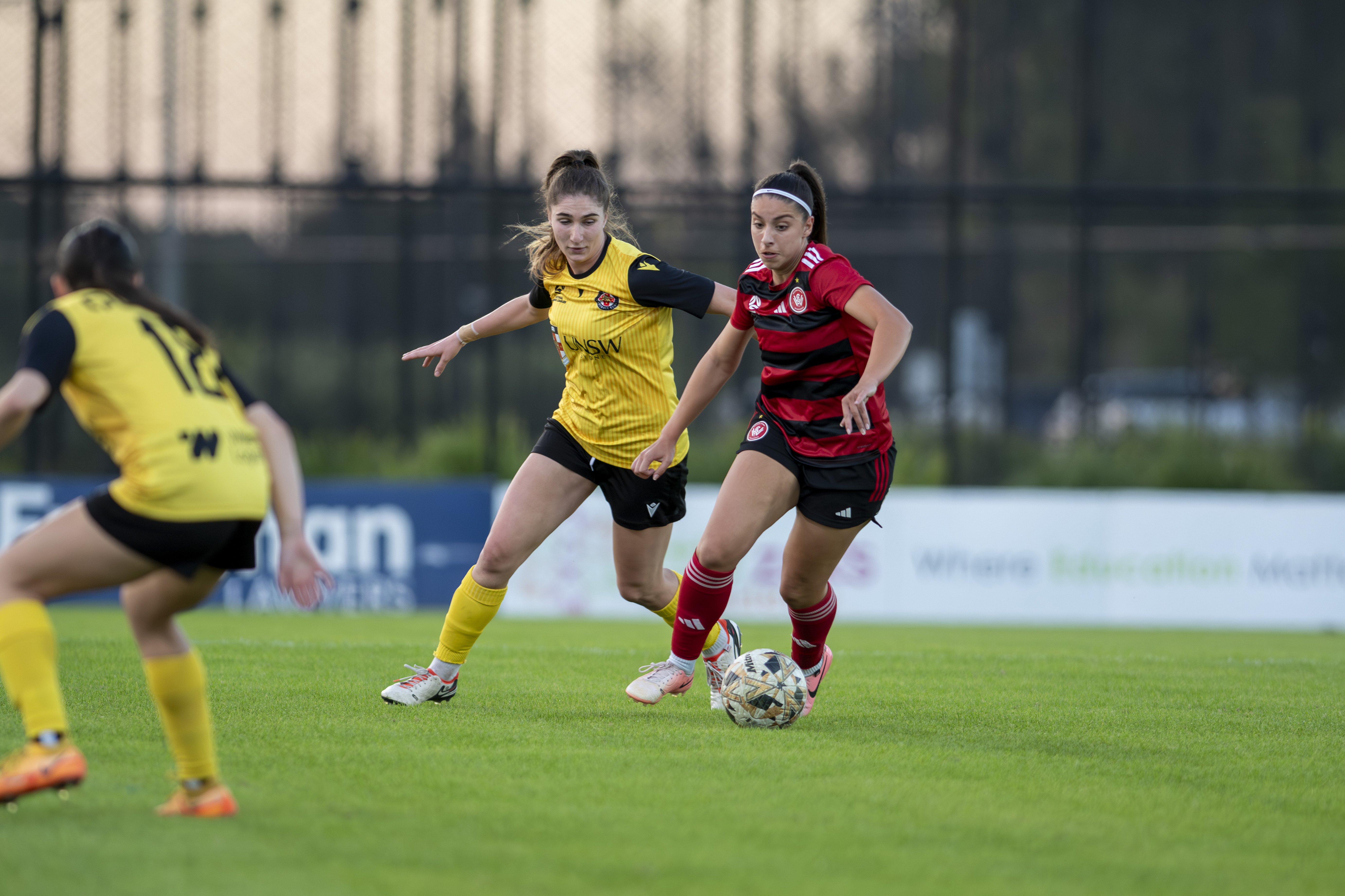 NPL Women’s Wrap: Late Comeback sees Wanderers draw with UNSW - Western ...